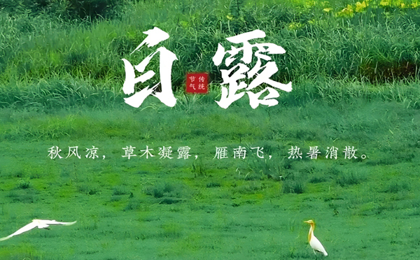 白露晨光，十全彩钢厂与您共建美好明天